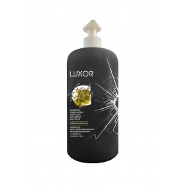 Шампунь для предотвращения выпадения волос с кофеином и маслом чиа серии Sulfate&Paraben Free  LUXOR Professional 1000 мл 
